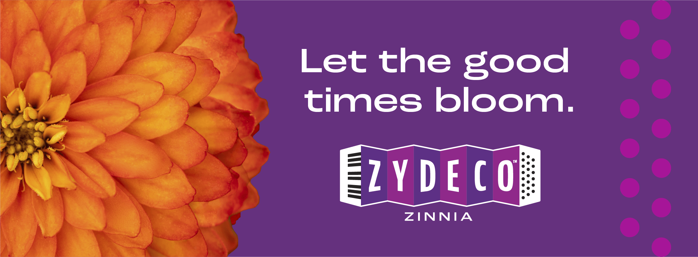 Let the Good Times Blooms with Zydeco Zinnia
