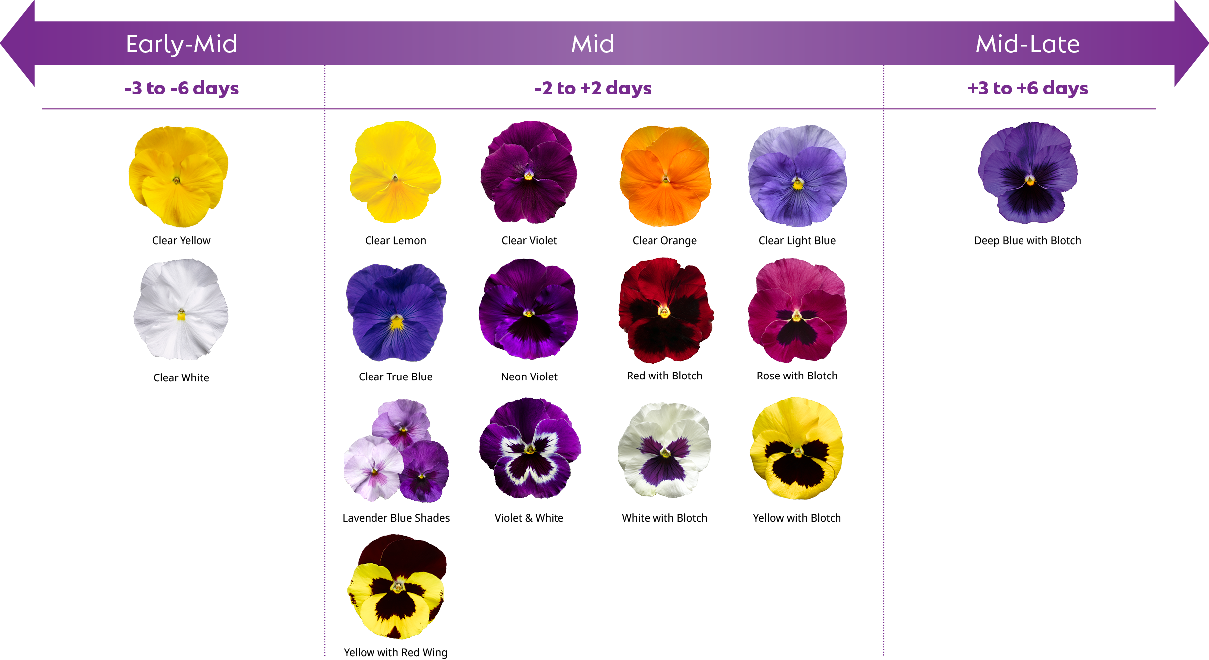 Delta Pro Pansy Flowering Time Comparison by Variety. The chart shows a flower timing chart for pansy time comparison by variety