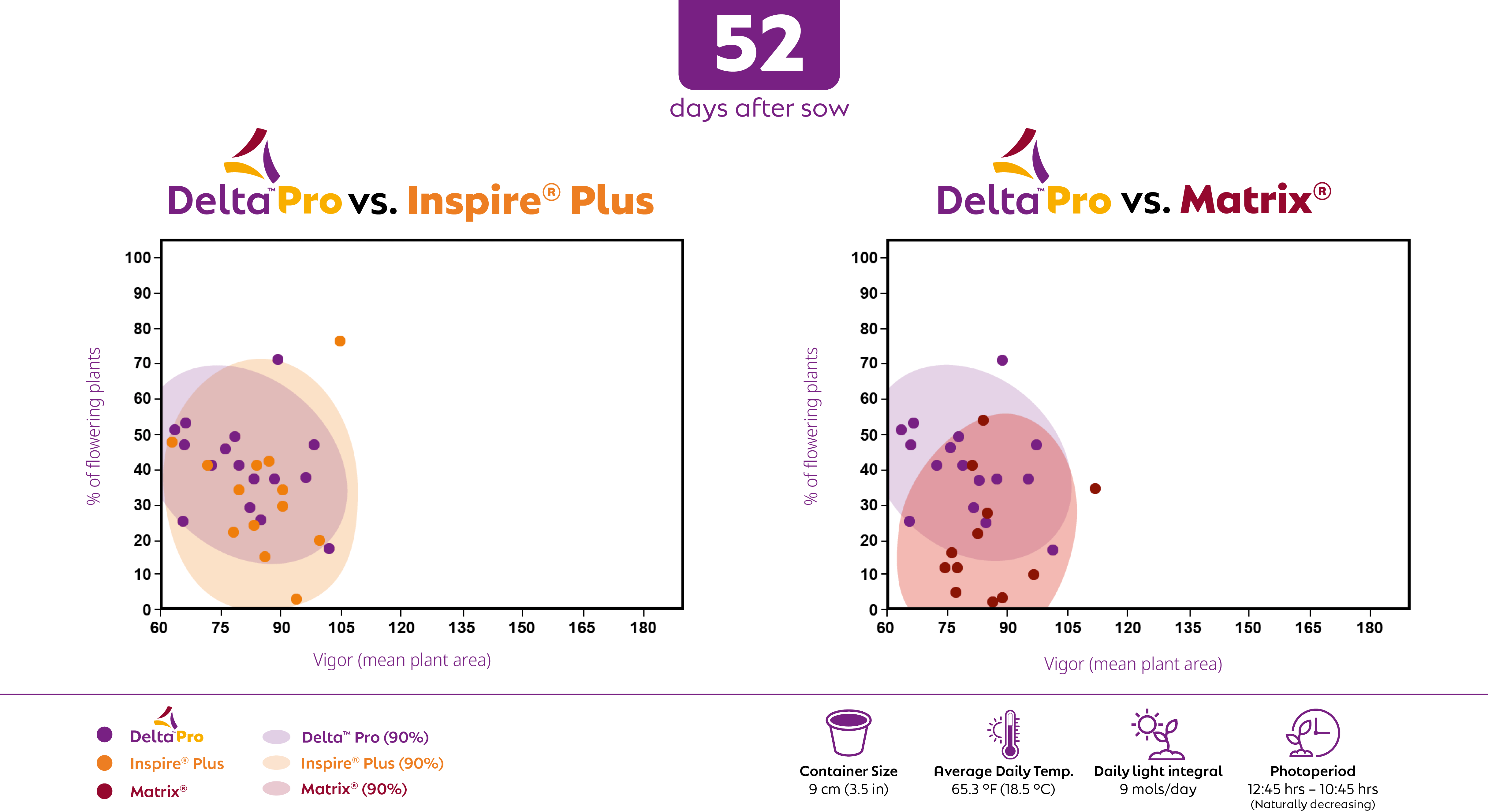 This chart shows the progression of timing and tightness with Delta Pro pansy's main competition after 52, 58, and 66 days after sow.