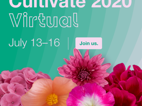 2020 Cultivate Registration