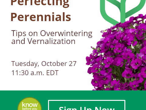 Perfecting Perennials - Tips on Overwintering and Vernalization