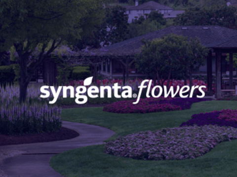 Syngenta Flowers expands sales team with Kelli Gibson 