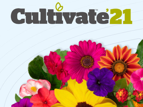 Visit Syngenta Flowers at Cultivate'21