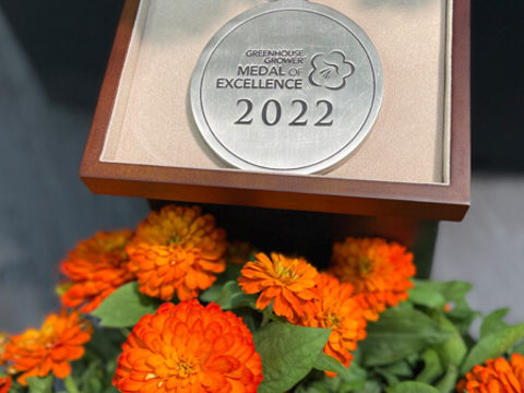 Zydeco Zinnia Wins Reader's Choice Medal of Excellence at Cultivate'22