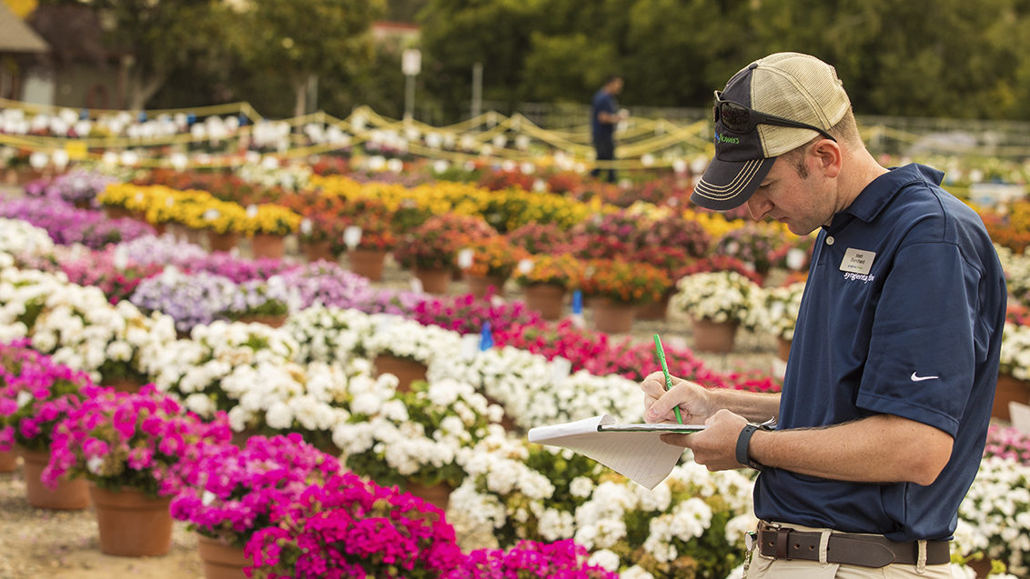 A Syngenta Flowers team member looking focus with a notepad making notes from the flowers at the trial site.