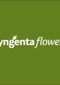 Syngenta Flowers Logo