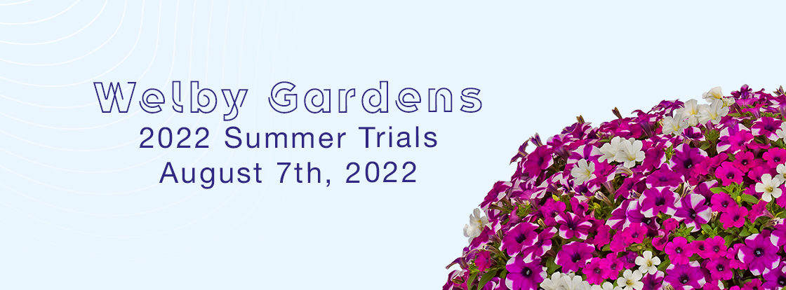 Welby Gardens Summer Trials