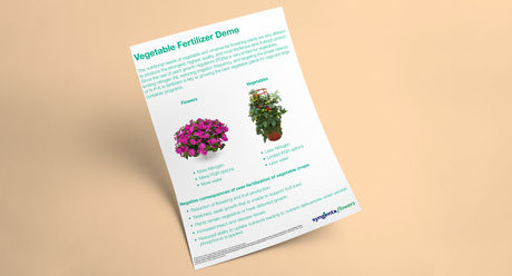 Vegetable Fertility Tech Demo