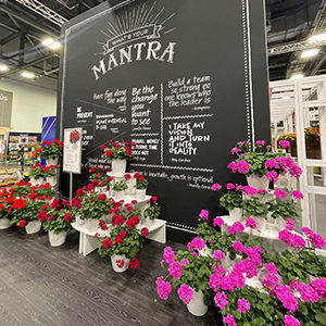 Mantra Display at Cultivate
