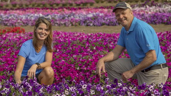 Two Syngenta Flowers employees smiling towards the camera as they evaluate the petunias at a summer trial location.