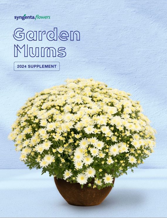 Garden Mums Supplement