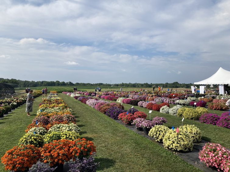 Penn State Flower Trials