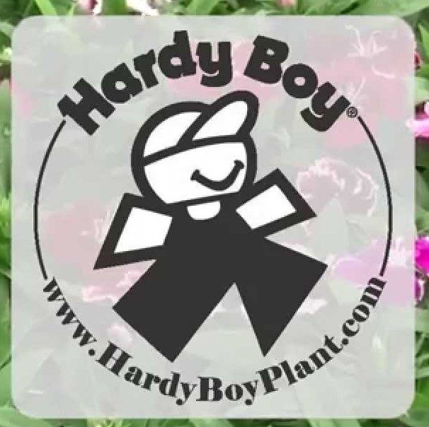 Hardy Boy Plant Logo